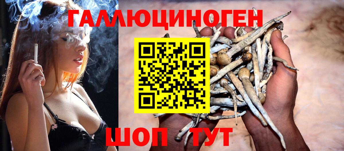 Псилоцибиновые грибы мухоморы  Псилоцибиновые грибы Psilocybine cubensis  Мирный  Вход с VPN 